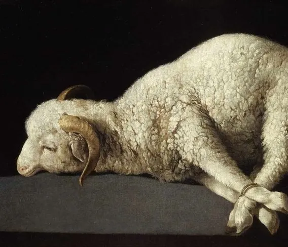 Lamb first-frame reference